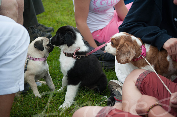 140615_CCR_Forties_EVENT_0413