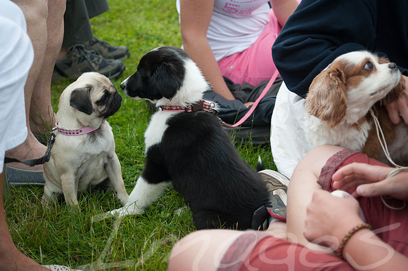 140615_CCR_Forties_EVENT_0414